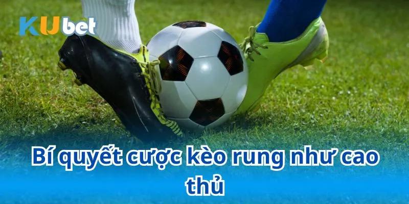 Bật mí bí kíp cược kèo rung chuẩn xác giúp người chơi thắng lớn
