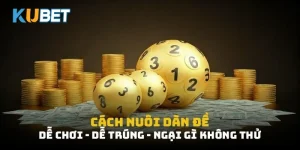cách nuôi dàn đề
