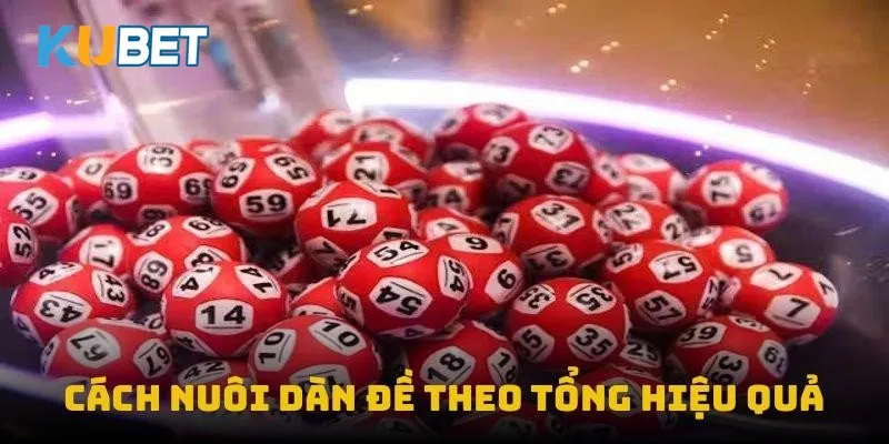 Cách nuôi dàn đề theo tổng hiệu quả