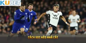 cách soi kèo nhà cái kubet
