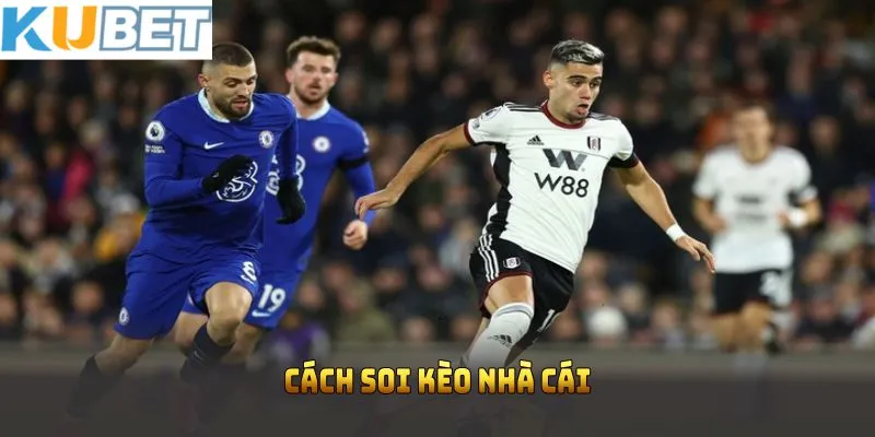 cách soi kèo nhà cái kubet